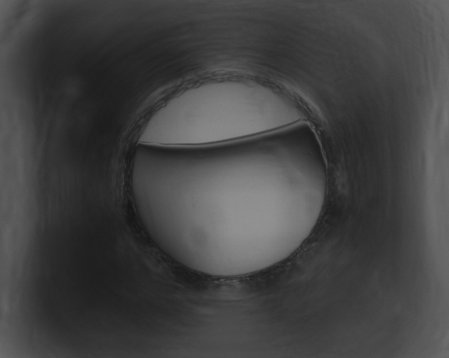 X0000101170968200806270750