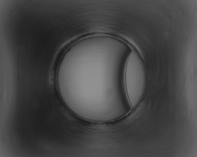 X0000101170971200806270750
