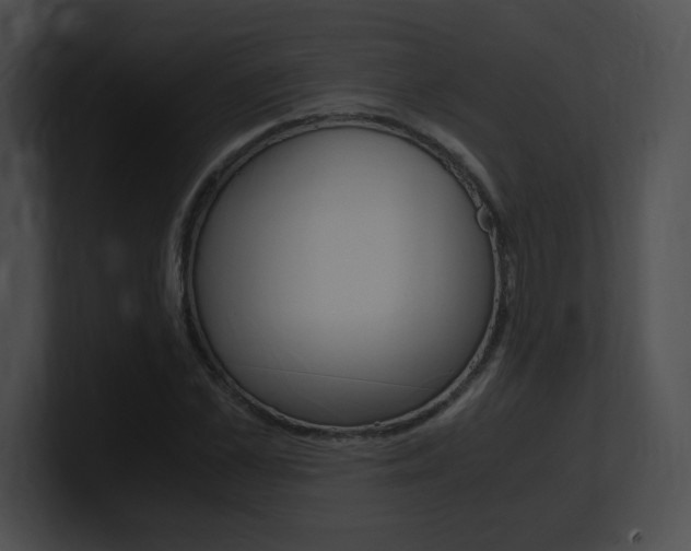 X0000101170973200806270750