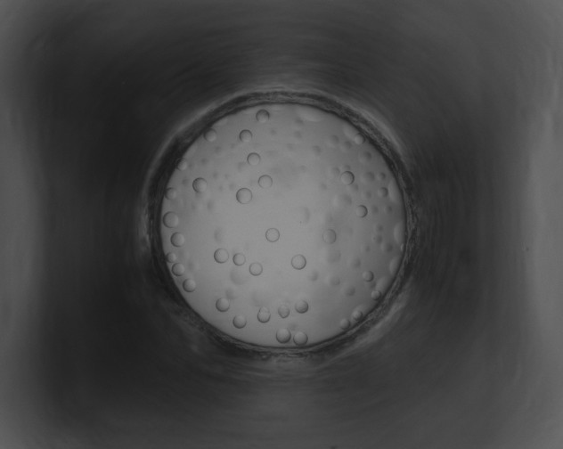 X0000101170974200806270750