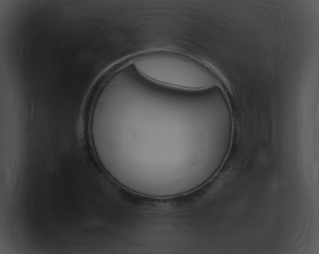 X0000101170975200806270750
