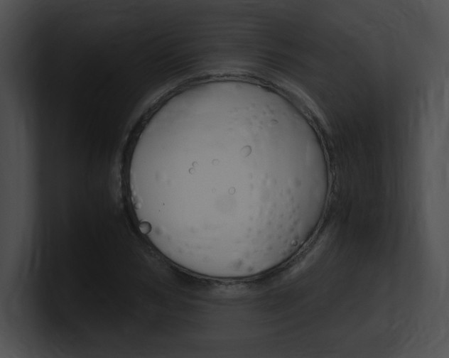 X0000101170978200806270750