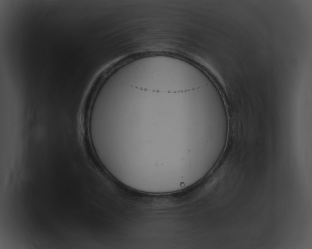 X0000101170979200806270750