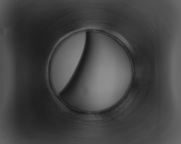 X0000101170980200806270750