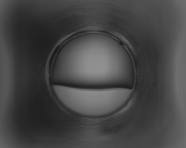 X0000101170981200806270750