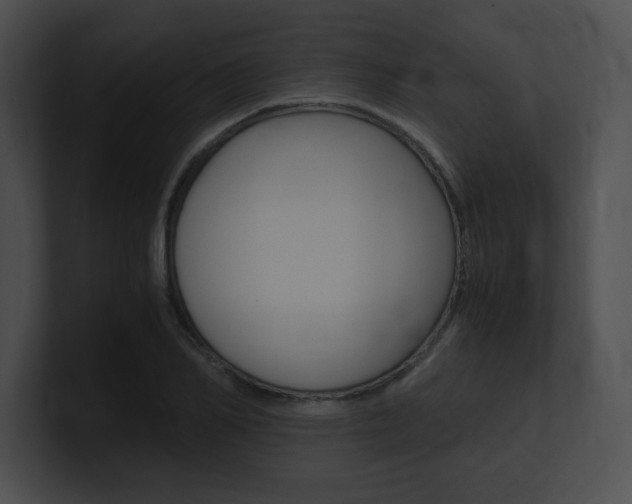 X0000101170982200806270750