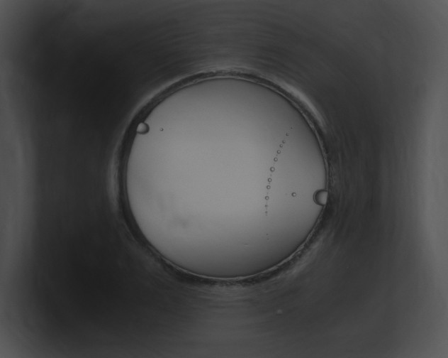 X0000101170983200806270750
