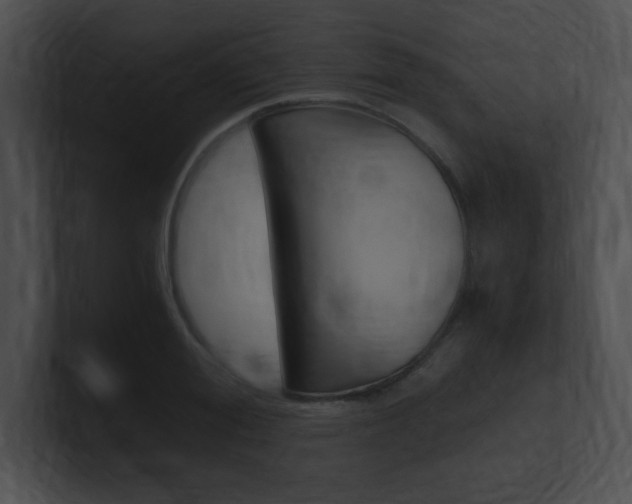 X0000101170988200806270750