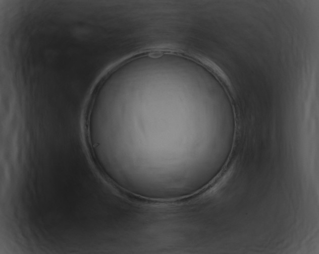 X0000101170989200806270750