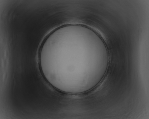 X0000101170990200806270750