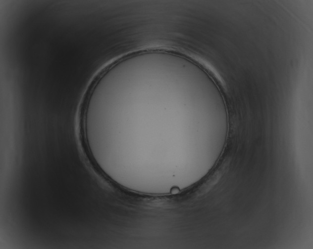 X0000101170991200806270750