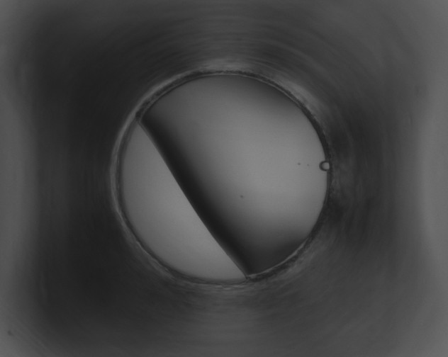 X0000101170992200806270750