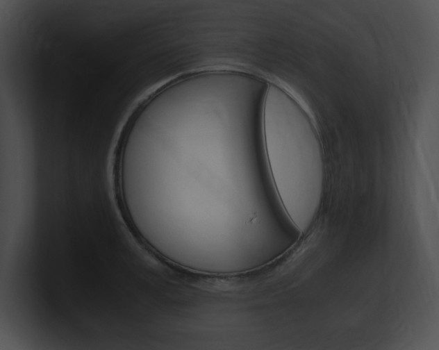 X0000101170995200806270750