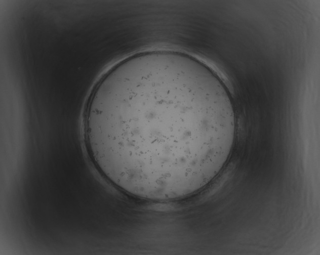 X0000101170998200806270749