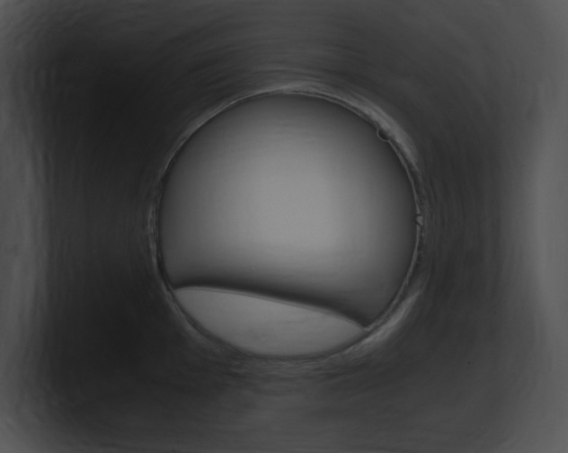 X0000101171001200806270749