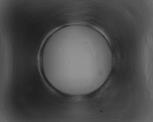 X0000101171003200806270749