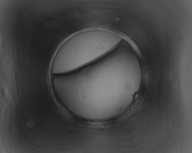 X0000101171004200806270749