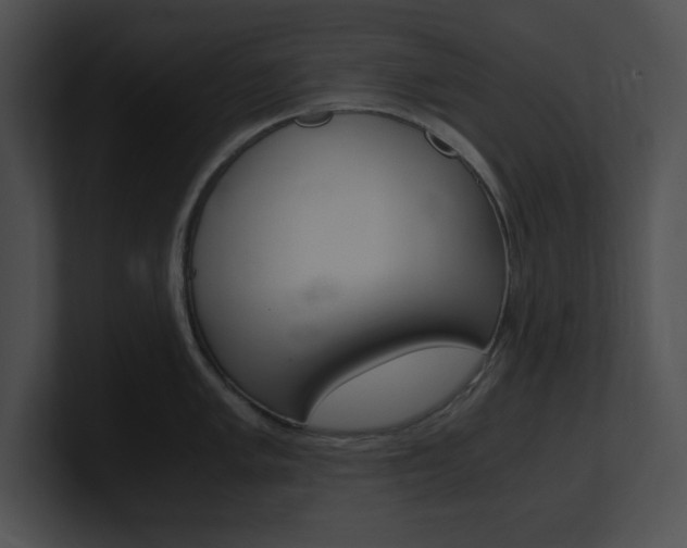 X0000101171005200806270749