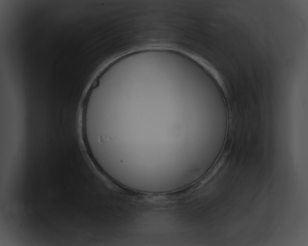 X0000101171006200806270749