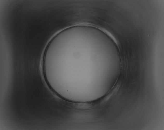X0000101171007200806270749
