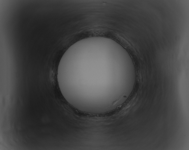 X0000101171010200806270749