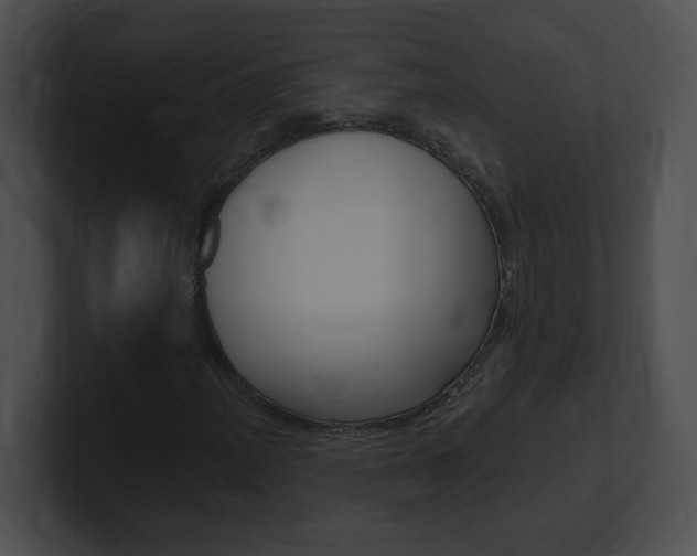 X0000101171012200806270749