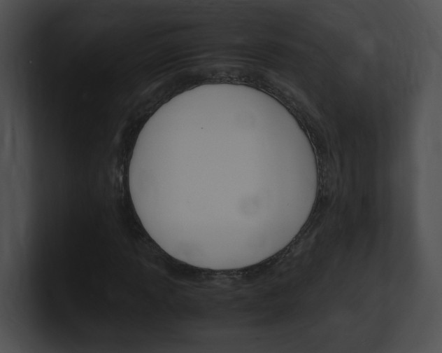 X0000101171013200806270749