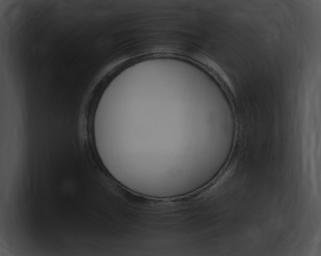 X0000101171019200806270749