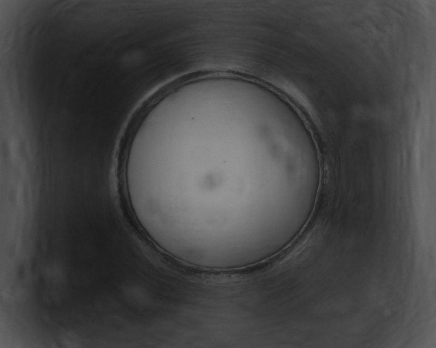 X0000101171020200806270749