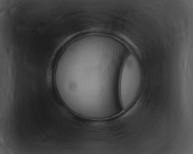 X0000101171021200806270749