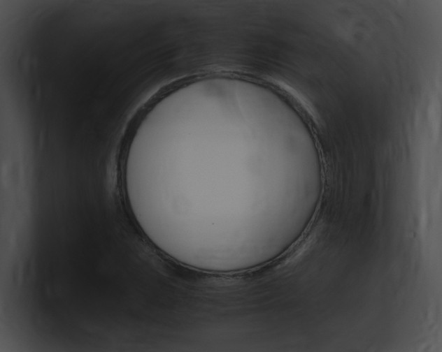 X0000101171023200806270749