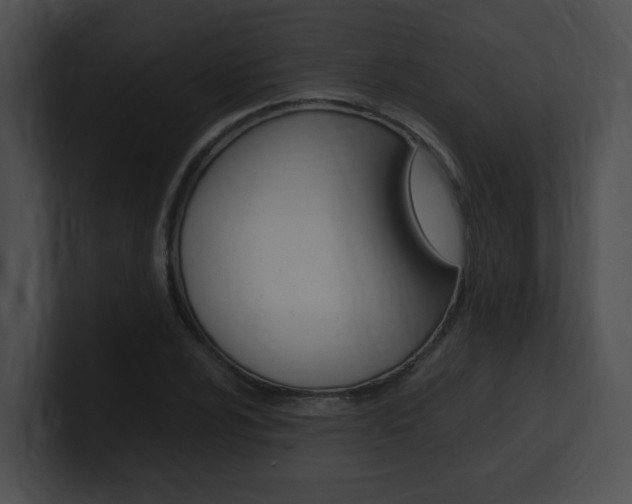 X0000101171024200806270749