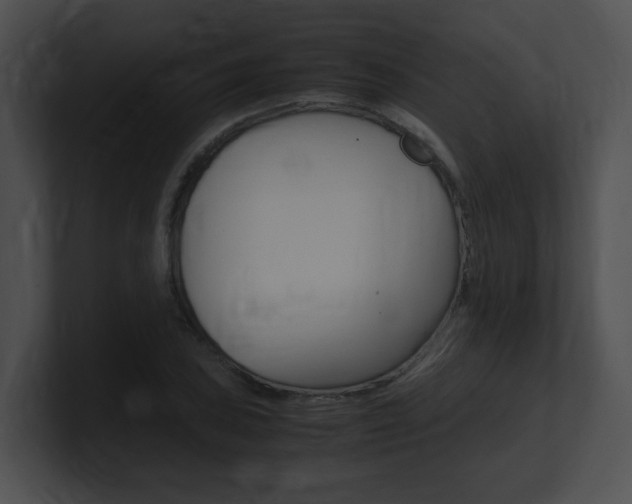 X0000101171027200806270749