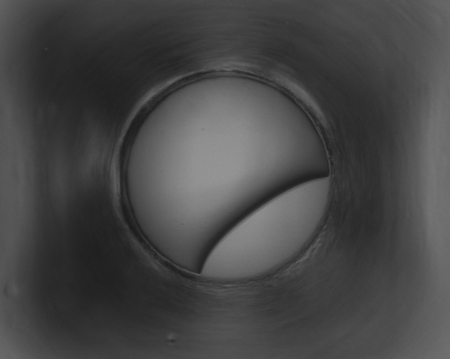 X0000101171032200806270749