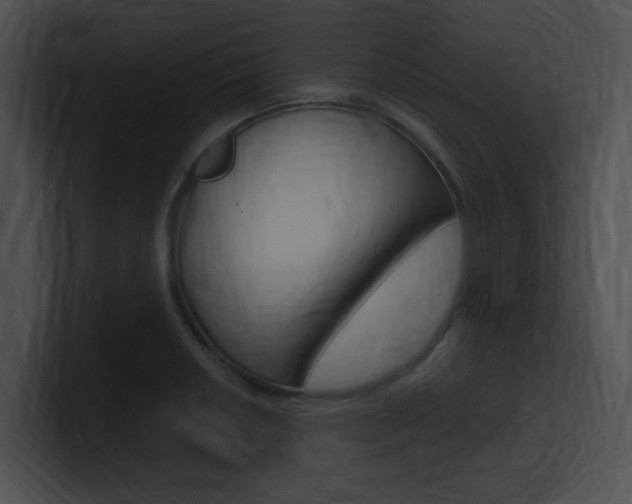 X0000101171034200806270749