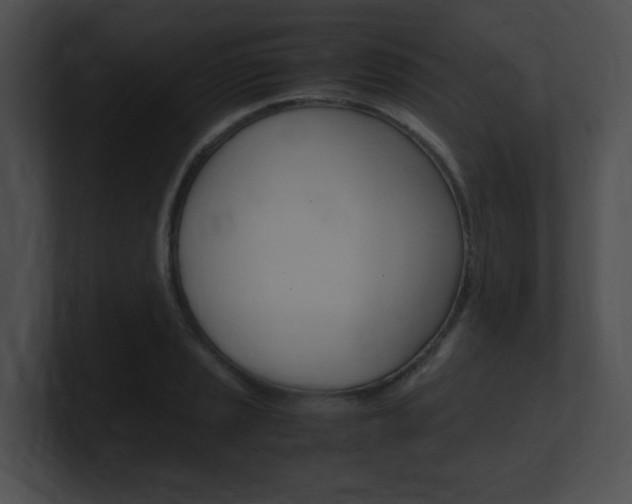 X0000101171037200806270749