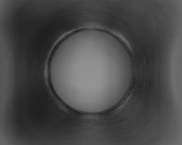 X0000101171040200806270749