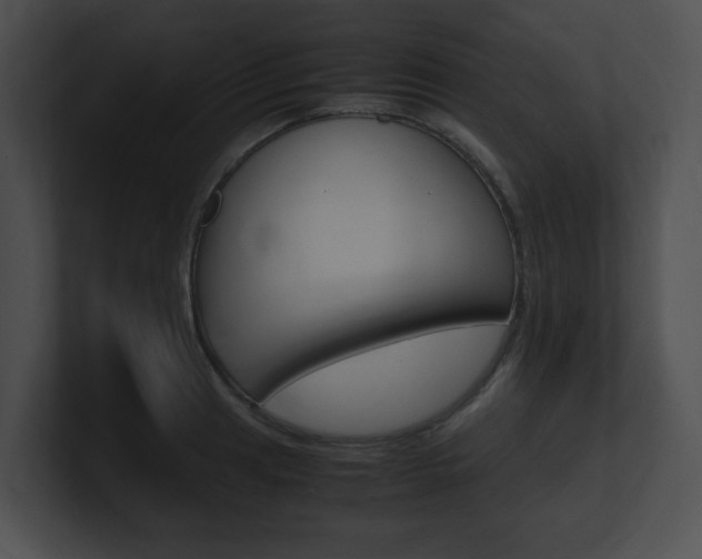 X0000101171041200806270749