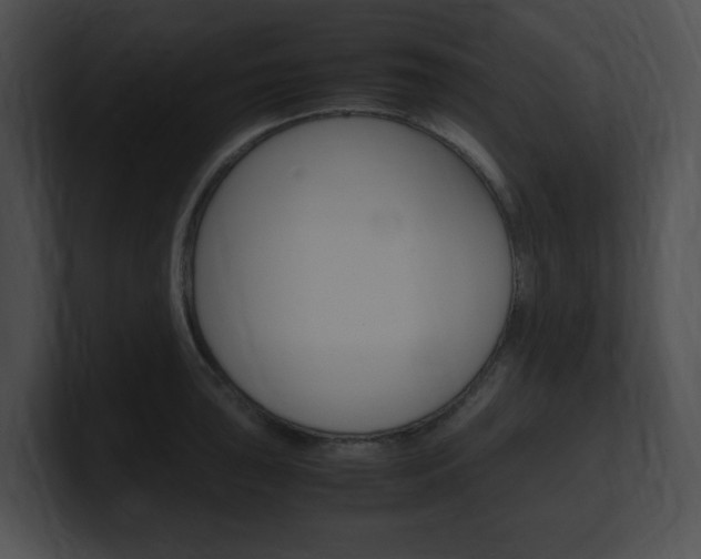 X0000101171043200806270749