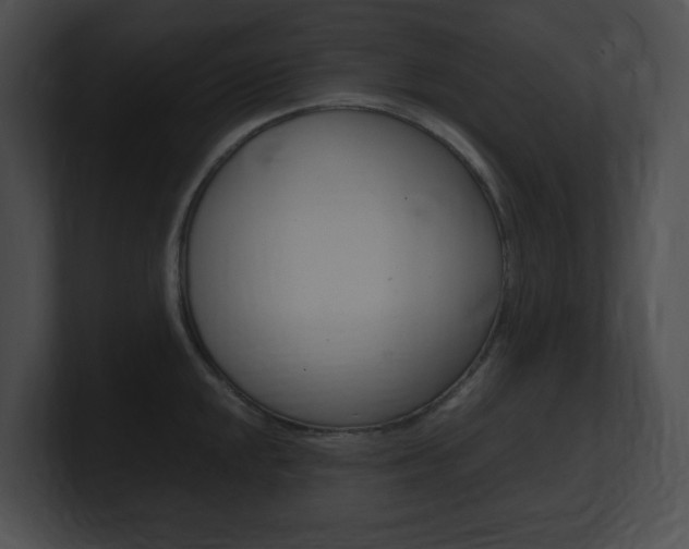 X0000101171048200806270749