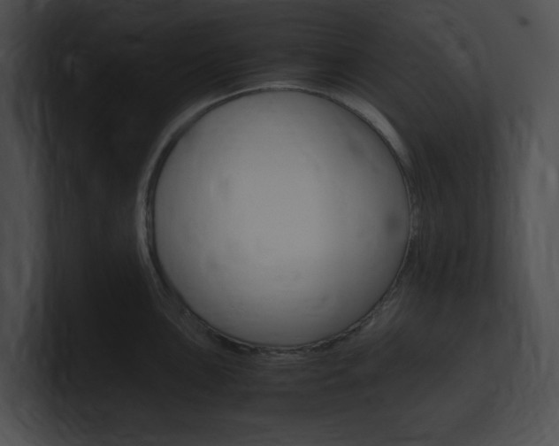 X0000101171051200806270749