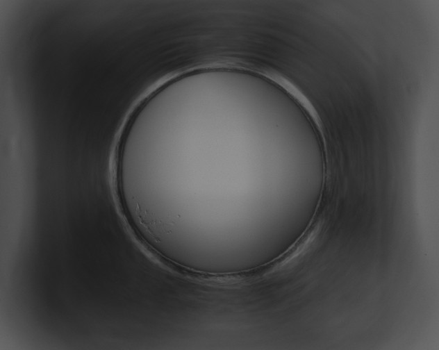 X0000101171053200806270749
