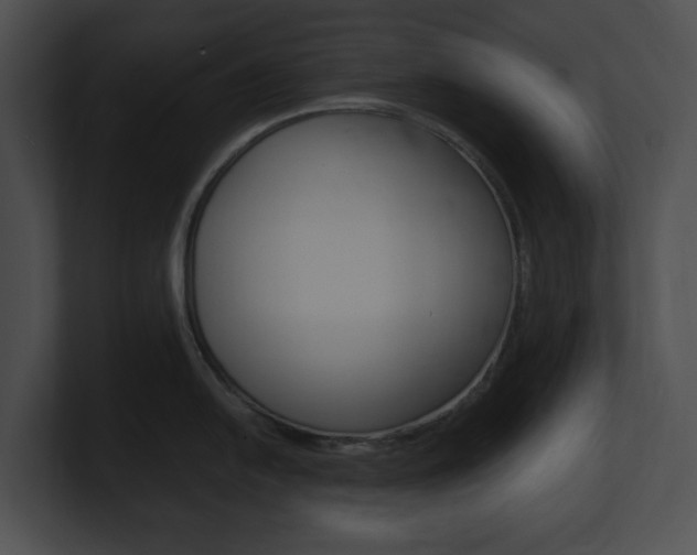 X0000101171054200806270749