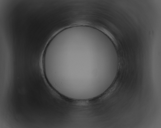 X0000101171055200806270749