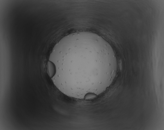 X0000101171059200806270749