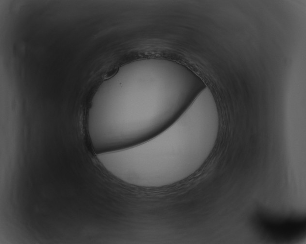 X0000101171060200806270749
