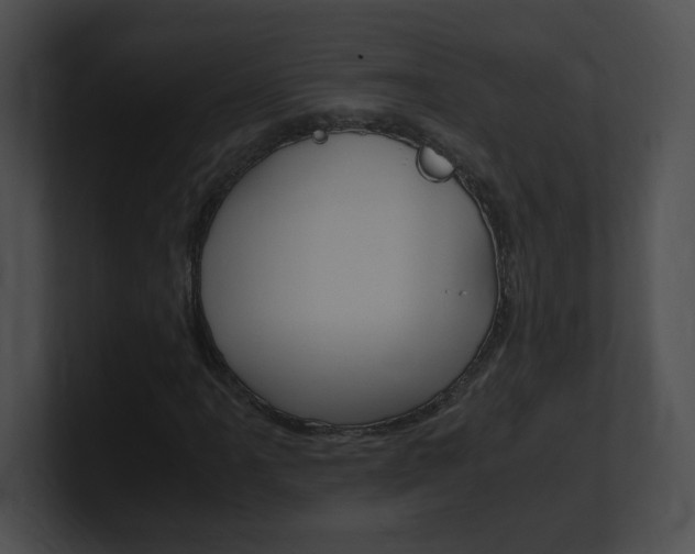 X0000101171061200806270749
