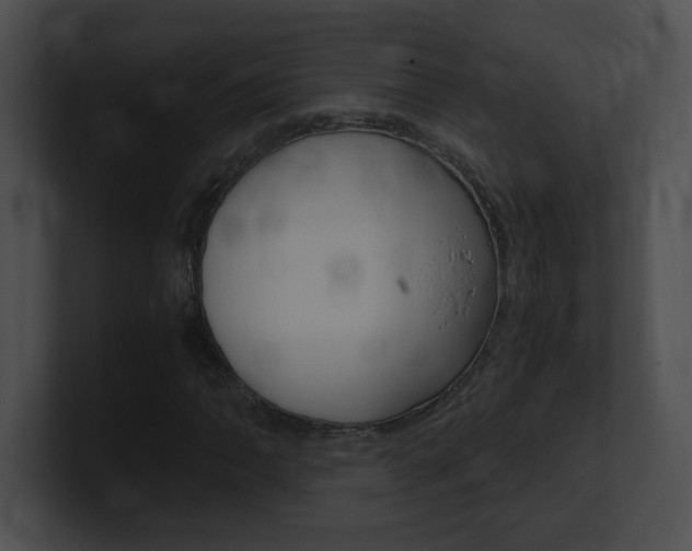 X0000101171062200806270749