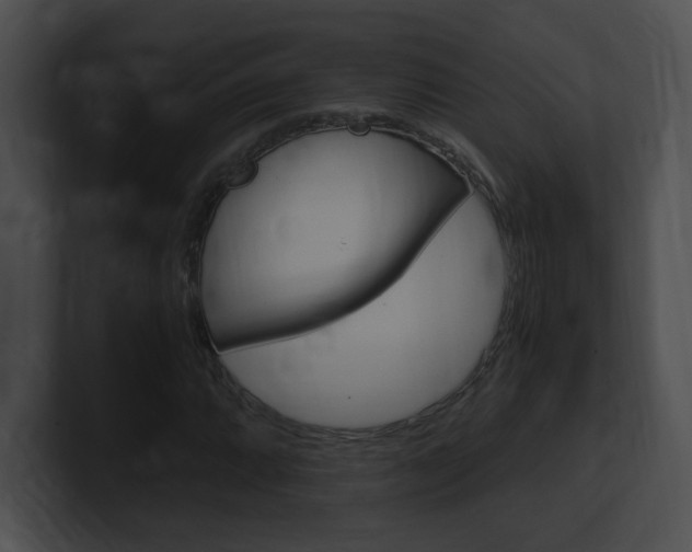 X0000101171064200806270749