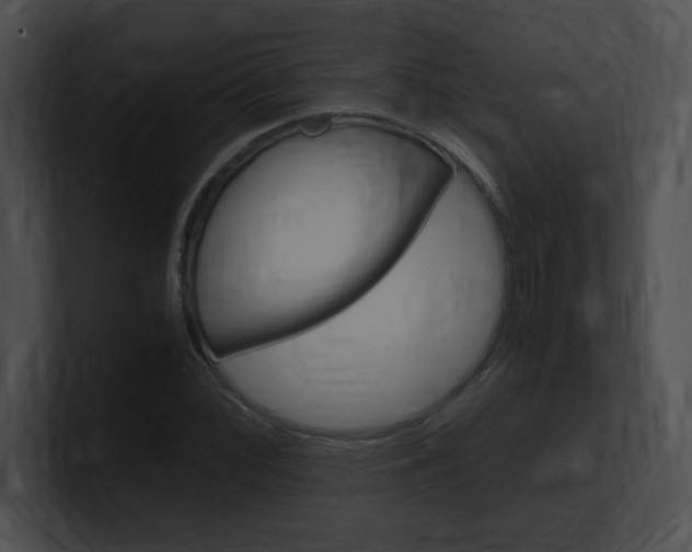 X0000101171068200806270749